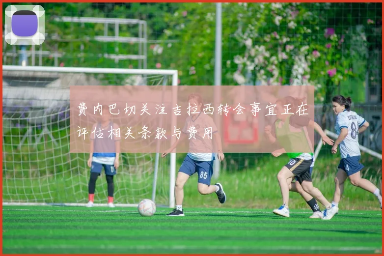 费内巴切关注吉拉西转会事宜正在评估相关条款与费用