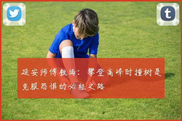 延安师傅教诲：攀登高峰时撞树是克服恐惧的必经之路