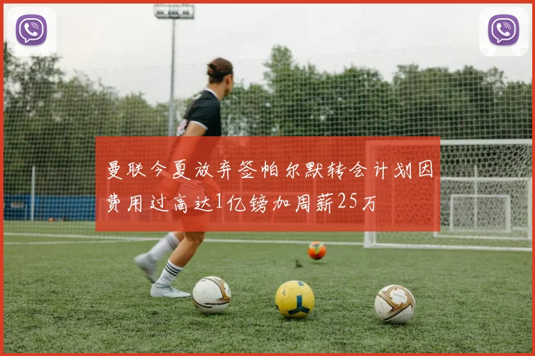 曼联今夏放弃签帕尔默转会计划因费用过高达1亿镑加周薪25万